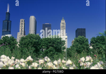 1988 HISTORICAL GRANT PARK SKYLINE CHICAGO ILLINOIS USA Stock Photo - Alamy