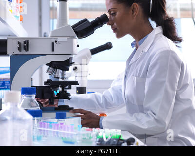 Female scientist examining a human sample on a glass slide under a microscope in the laboratory Stock Photo