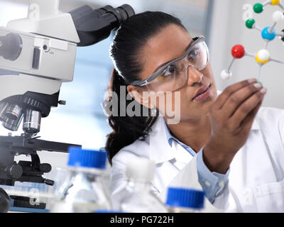 Biotechnology Research, female scientist examining a chemical formula using a ball and stick molecular model in the laboratory Stock Photo