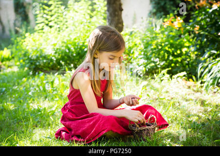 Portrait of little girl wearing red summer dress sitting on a meadow with basket of cherries Stock Photo