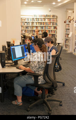 Adults using computers in a public library. Stock Photo