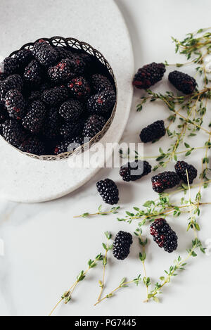 top view of blackberries lying in metal bowl and on white table with herbs Stock Photo