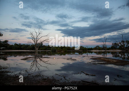 Lake, dead tree and reflections at sunset in the Australian outback Stock Photo