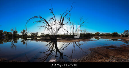 Sun, dead trees in silhouette and reflections on on a lake in the Australian outback Stock Photo