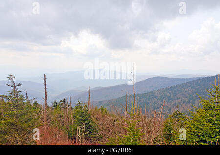 View from Clingman's Dome in the Smoky Mountains Stock Photo