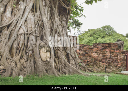 The Buddha Head statue trapped in Bodhi tree roots at Wat Mahathat, Ayutthaya historical park Thailand. Stock Photo