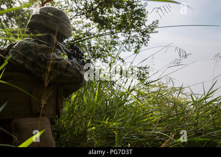 Marine rifleman with Fox Company, 2nd Battalion, 3rd Marines, conduct a dry-fire and maneuver drill with soldiers from the 22nd Royal Malay Army Regiment, at range Ltti in Kota Belud, Malaysia, August 14, 2018. CARAT Malaysia in its 24th iteration, is designed to enhance information sharing and coordination, build mutual warfighting capability and support long-term regional cooperation enabling both partner armed forces to operate effectively together as a unified maritime force. (U.S. Marine Corps photo by Lance Cpl. Marcus Allen) Stock Photo