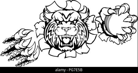 Wildcat Holding Cricket Ball Breaking Background Stock Vector