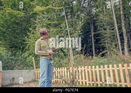 Retro style image of young man standing pruning a tree in the garden with a pair of secateurs or shears in a gardening and yard maintenance concept. Stock Photo