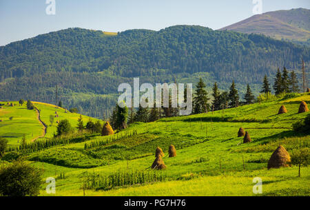 agricultural fields with haystacks on hills. beautiful summer scenery in mountains Stock Photo