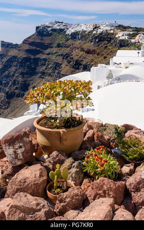 Mediterranean rock garden overlooking the steep cliffs of Santorini, Greece Stock Photo