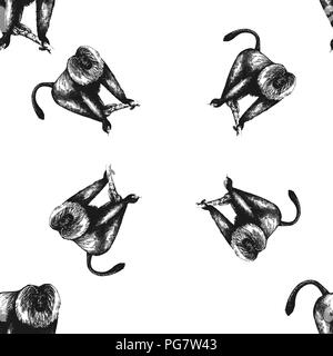 Seamless pattern of hand drawn sketch style lion-tailed macaques isolated on white background. Vector illustration. Stock Vector