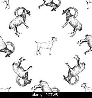 Seamless pattern of hand drawn sketch style goats isolated on white background. Vector illustration. Stock Vector