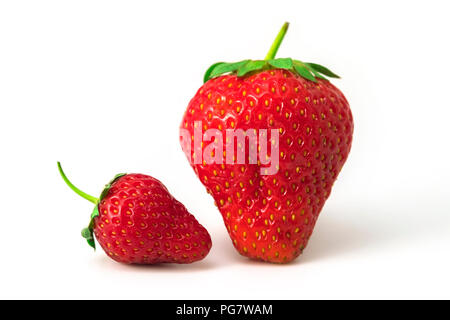 Small and big strawberry isolated on white background