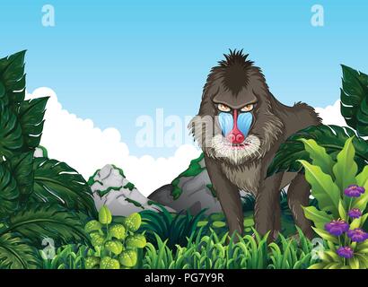 Mandrill baboon in the forest illustration Stock Vector