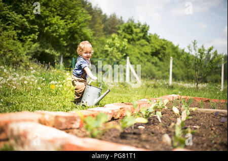 Little boy in the garden watering seedlings Stock Photo