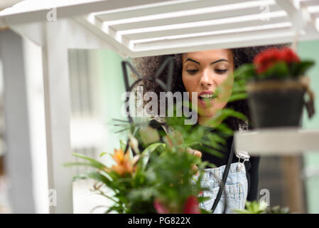Young woman watching potted plants of a flower shop Stock Photo
