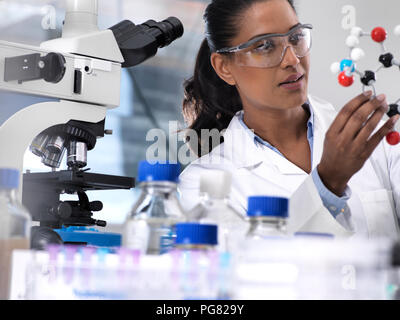 Biotechnology Research, female scientist examining a chemical formula using a ball and stick molecular model in the laboratory Stock Photo