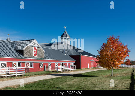 Pineland Farms Equestrian Center barn, New Gloucester, Maine, USA. Stock Photo