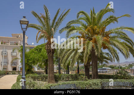 Public Park in Albox, small rural town in Andalucia Spain Stock Photo
