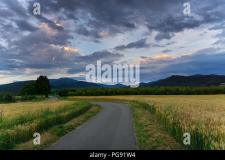 Germany, Road through corn fields with black forest mountains behind at sunset Stock Photo