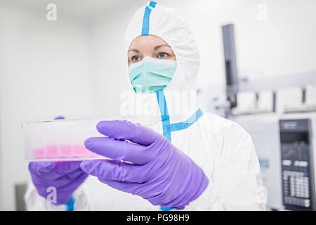 Lab technician carrying a cell-based testing kit in a laboratory that engineers human tissues for implant. Such implants include bone and skin grafts. Stock Photo