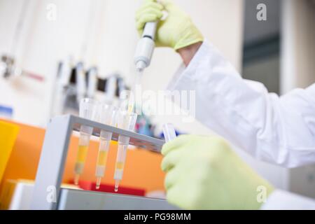 Technician pipetting samples into cartridges for solid phase extraction (SPE). SPE is used to separate biological compounds from a mixture for further analysis.