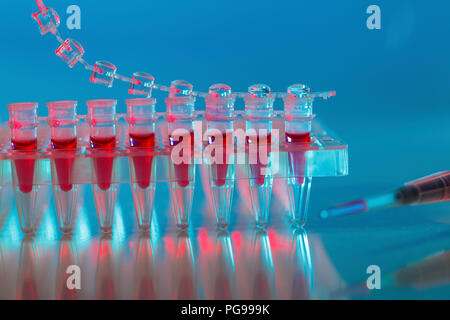 Samples in PCR tubes. Stock Photo