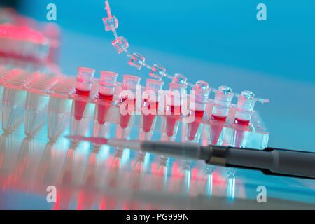 Samples in PCR tubes. Stock Photo