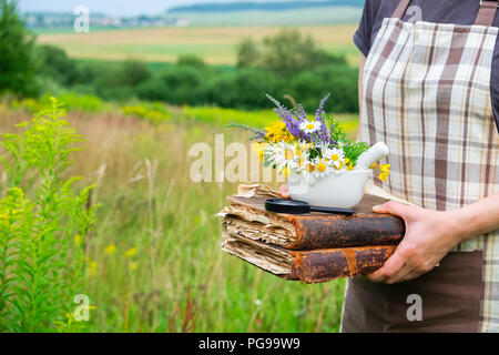 Woman holding in her hands old books, a mortar and magnifying glass. Herbalist collects medicinal plants on a meadow. Stock Photo