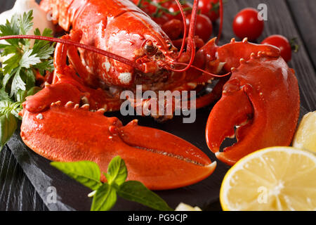 Beautiful seafood cooked lobster macro with lemon and herbs on a black background. horizontal Stock Photo