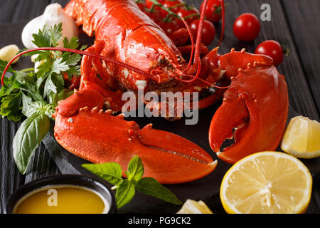 Cooked lobster close-up with lemon, fresh tomatoes and herbs on a black background. horizontal Stock Photo
