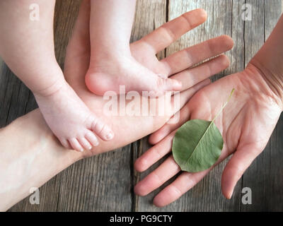 Parent's hands holding newborn legs. Baby's feet in parent's hands. Daddy holding his newborn baby's feet. Father's hand holding baby's legs. Human ha Stock Photo