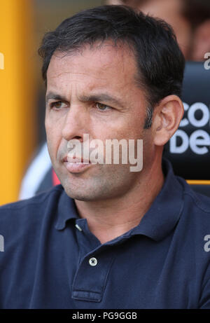 Head coach Javier Calleja of Villarreal CF during the match between ...