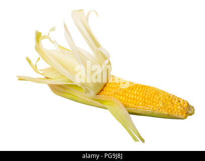 raw corn cob on a white isolated background Stock Photo