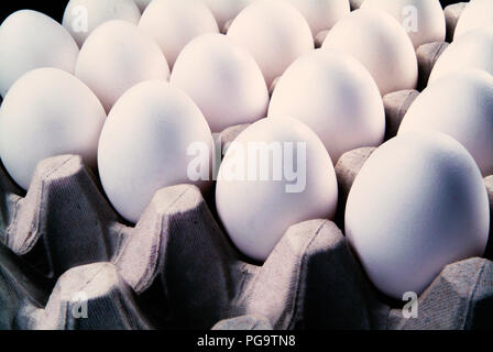 Rows of eggs in carton. Stock Photo