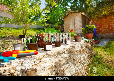 Pots with blanked name plate signs in the garden Stock Photo