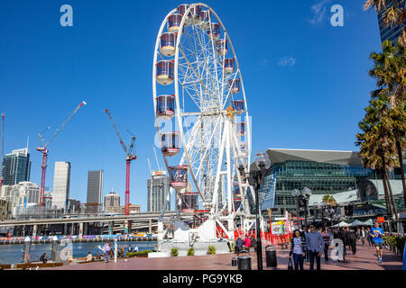 Giant ferris wheel in Darling Harbour,Sydney city centre,Australia Stock Photo