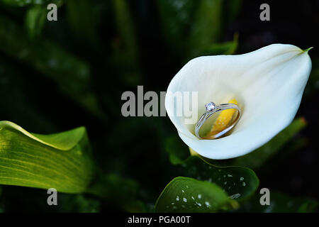 White gold diamond ring and lily flower. Stock Photo