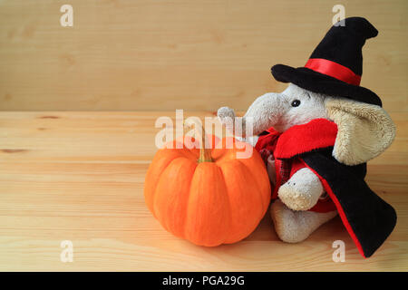 Cute elephant soft toy in wizard costume with a bright orange color ripe pumpkin isolated on the wooden table Stock Photo