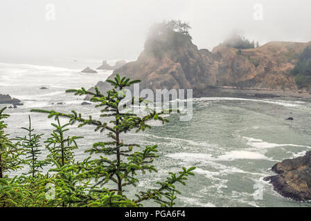 Foggy Oregon coast and the Pacific Ocean. Samuel H. Boardman State Scenic Corridor, Southwestern Oregon coast, USA. Stock Photo