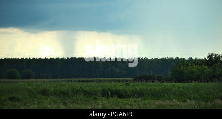 Clouds forming a storm over forest in distance Stock Photo