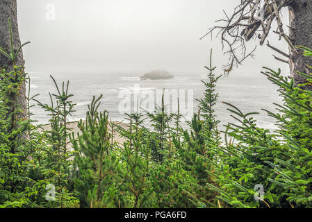 Foggy Oregon coast and the Pacific Ocean. Samuel H. Boardman State Scenic Corridor, Southwestern Oregon coast, USA. Stock Photo