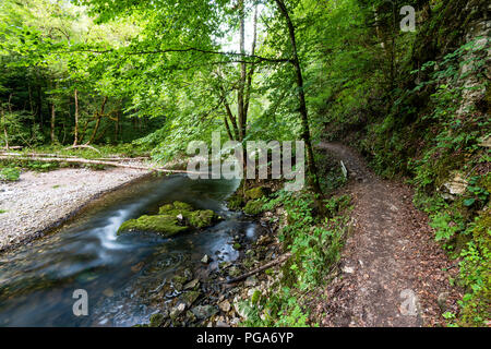 The Wutach Gorge (German: Wutachschlucht) is a narrow, steep-sided valley in southern Germany through in the upper reaches of the River Wutach with th Stock Photo