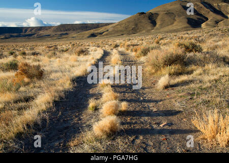 Kinney Camp Road, Sheldon National Wildlife Refuge, Nevada Stock Photo