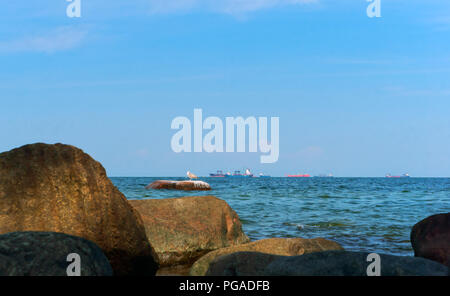 Seagull in the sea stands on a stone, rocky seashore Stock Photo