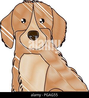 Golden Retriever Breed Pet Puppy Isolated Head Face Stock Vector Image