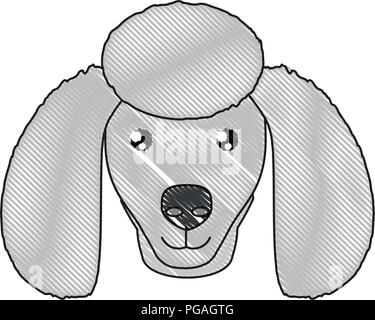 cute poodle dog icon over white background, vector illustration Stock ...