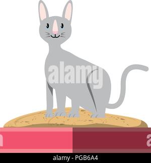 cute sphynx cat in a littler box over white background, vector illustration Stock Vector