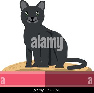 cute kitty in a littler box over white background, colorful design. vector illustration Stock Vector